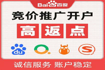 SEM托管公司案例分析：实战技巧全解析