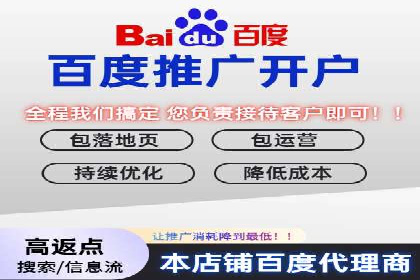 竞价代运营实战案例深度剖析